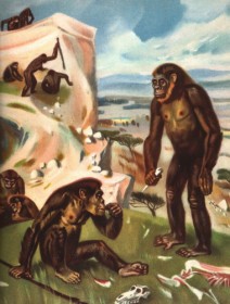 Антропоген