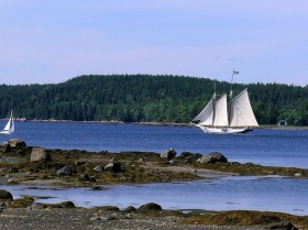 Полярная асимметрия