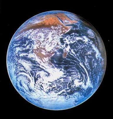 Внутренние закономерности развития живой материи