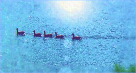 Климатическая зона