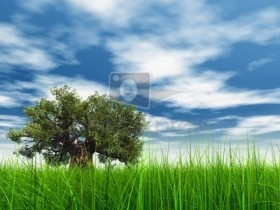 Биогеносфера и географическая среда