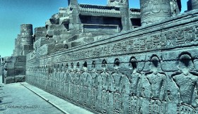 Коптское монашество