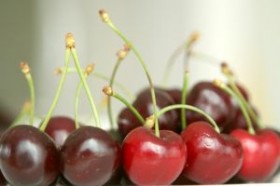 Вишня степная