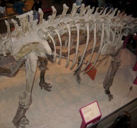 Ископаемый динозавр