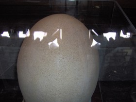 Яйцо динозавра