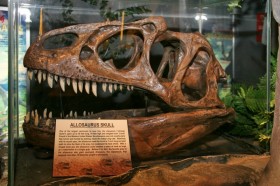 Окаменелости 