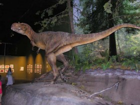 Альбертозавр