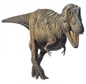 Альбертозавр