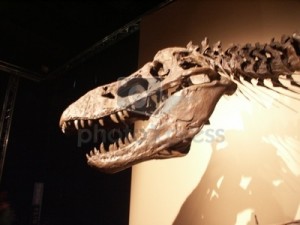 информация о динозаврах