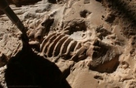 геологическая история Земли