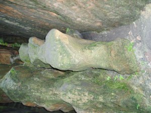 окаменелостей в горных породах