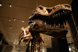 музей динозавров