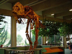 Выставка динозавров