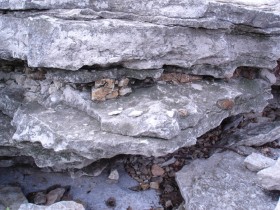 Девонский период