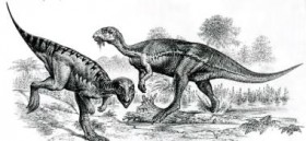 Квантасзавр