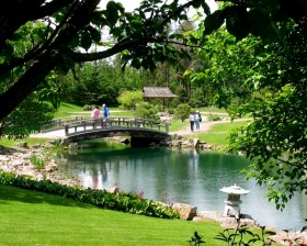 Девонский лес