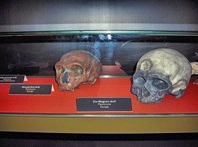 Кроманьонец