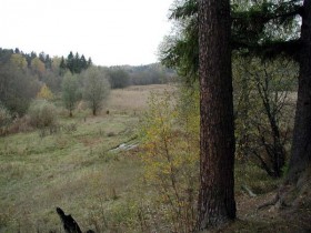 Локнянская поляна