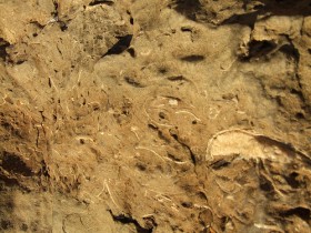 Последствия пожаров