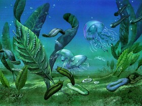 Мягкотелые животные