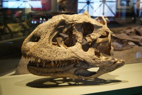 Абелизаврид