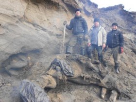 маленький мальчик нашел останки мамонта
