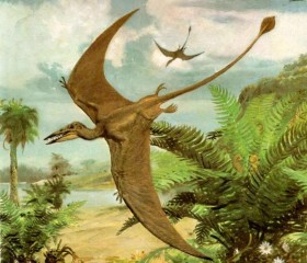 новый вид птерозавра