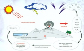 Биохимическая эволюция