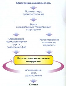Переход химической эволюции в биологическую