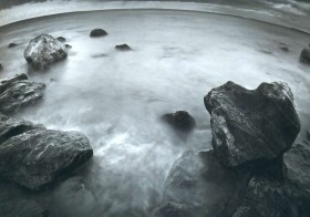 Первые живые организмы