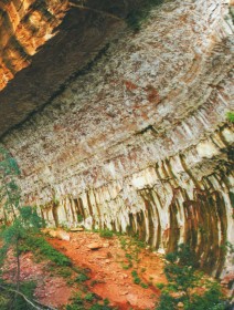 Скальные породы