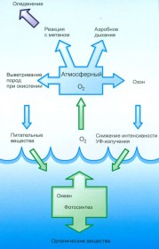 Развитие кислородной катастрофы