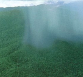 Мусонный ветер