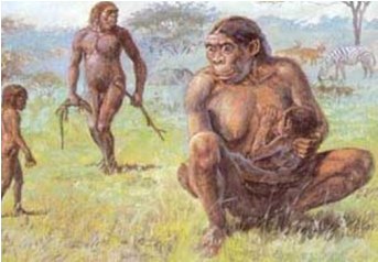 Из чего все сделано