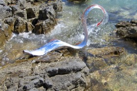 сельдяной король или ремень рыба 