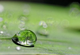 Древняя вода