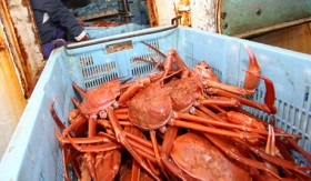 Задержанная японская шхуна с грузом краба в порту Находки