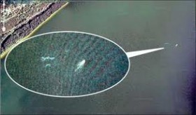 лохнесский монстр 