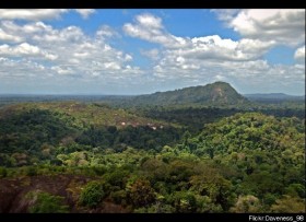 Амазонски джунгли