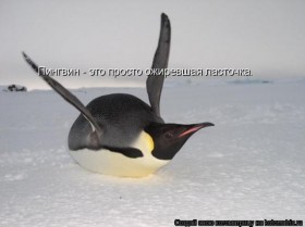 s3img_55546277_26898_1