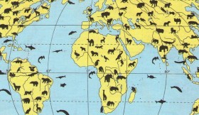 биогеография