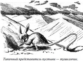 zona_pustyny_tushkanchik