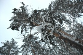 Томская писаница