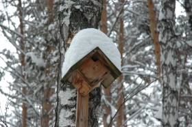 Томская писаница