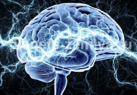 gigiena_umstvennogo_truda