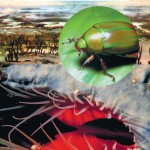 Кембрийский период