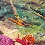 Башни и конусы