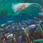 Морские лилии