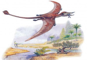 Птерозавр