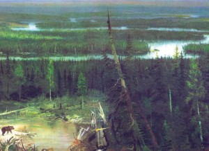 болотистая равнина болотистая равнина